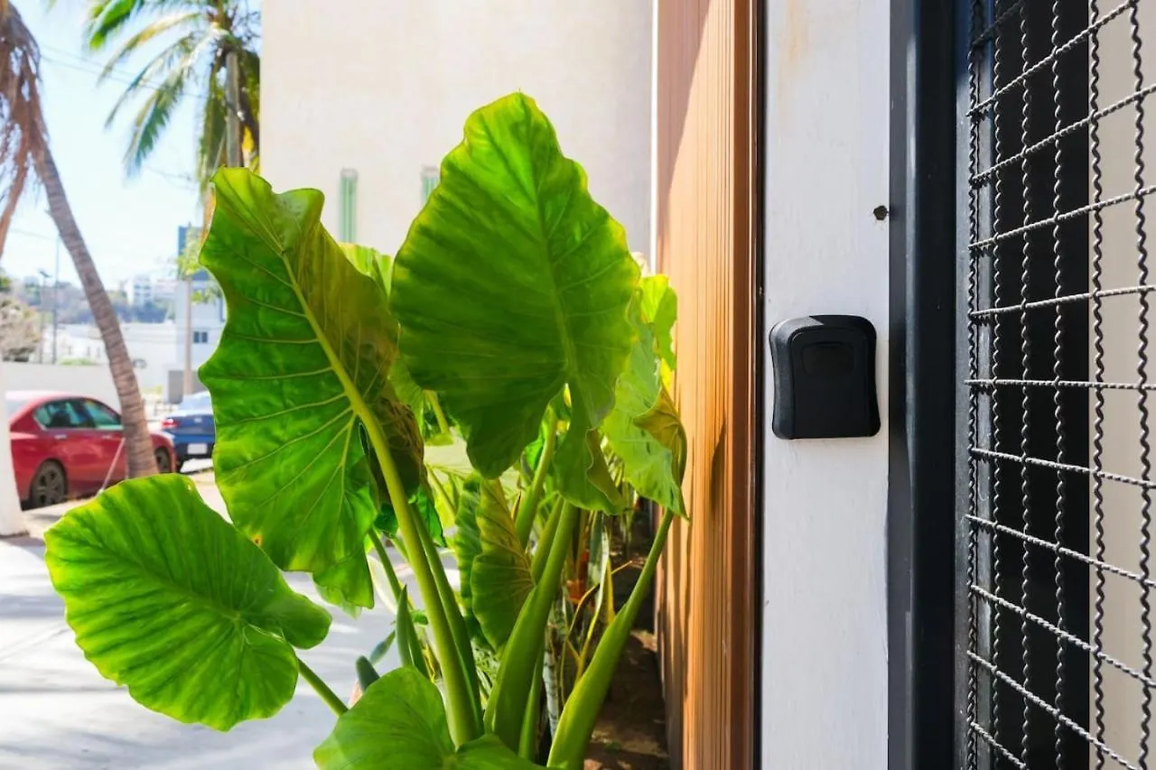 Quiet-Central 2Br1Ba Relaxed Atmosphere Mazatlan Apartment